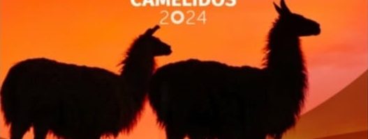 XII Concurso de Marcapáginas