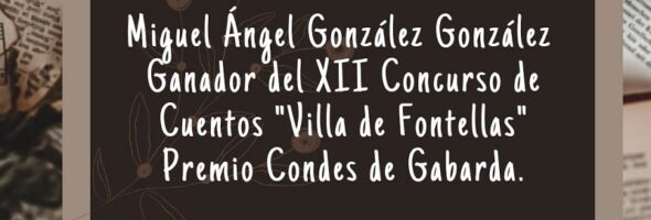 Ganador XII Concurso Villa de Fontellas