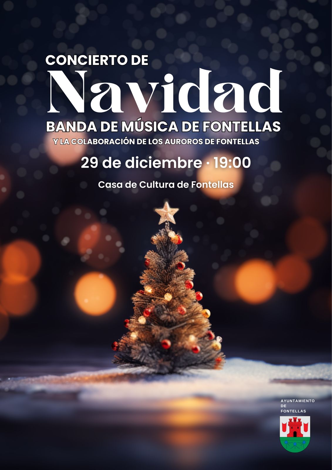 Concierto Navidad 24