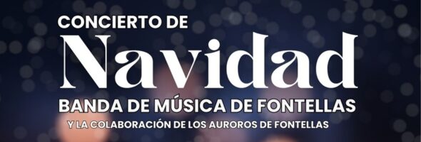 Concierto Navidad 2024