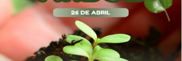 Día del árbol 2025