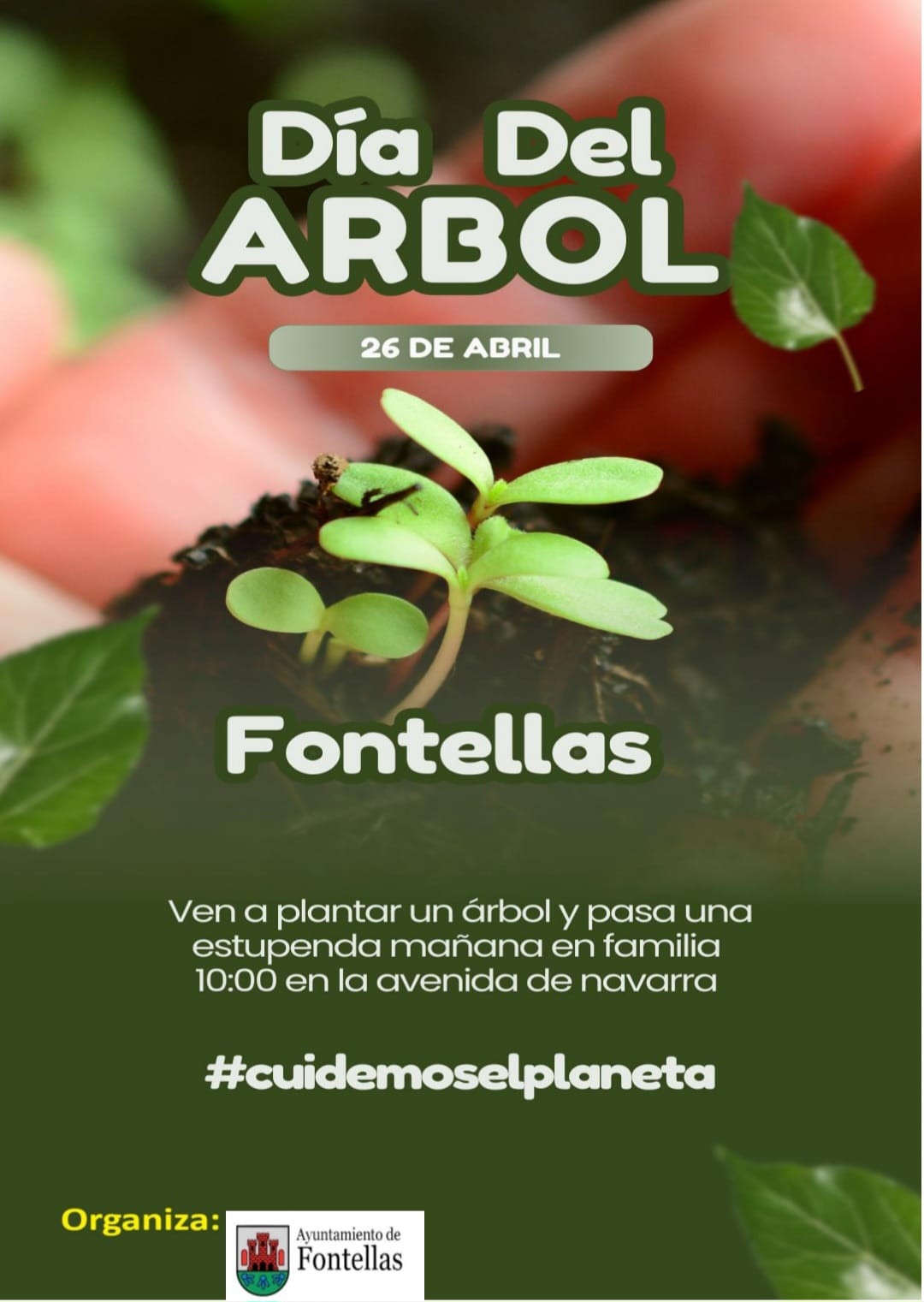 dia arbol