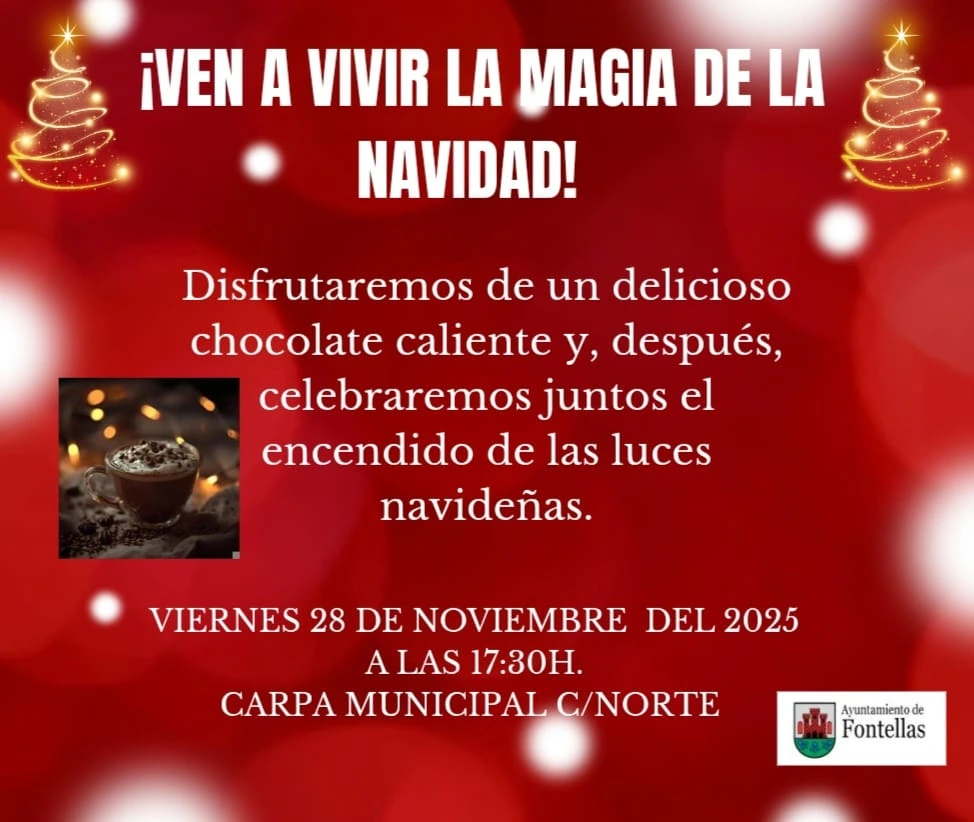 encendido navidad25