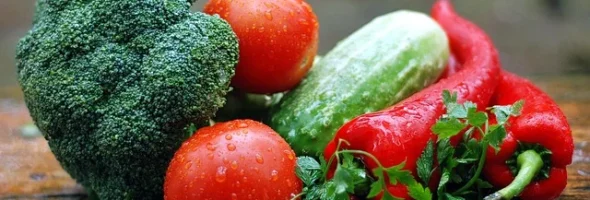 Jornada de Verduras 2026