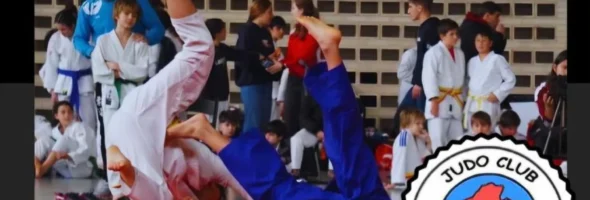 Exhibición Judo 2026