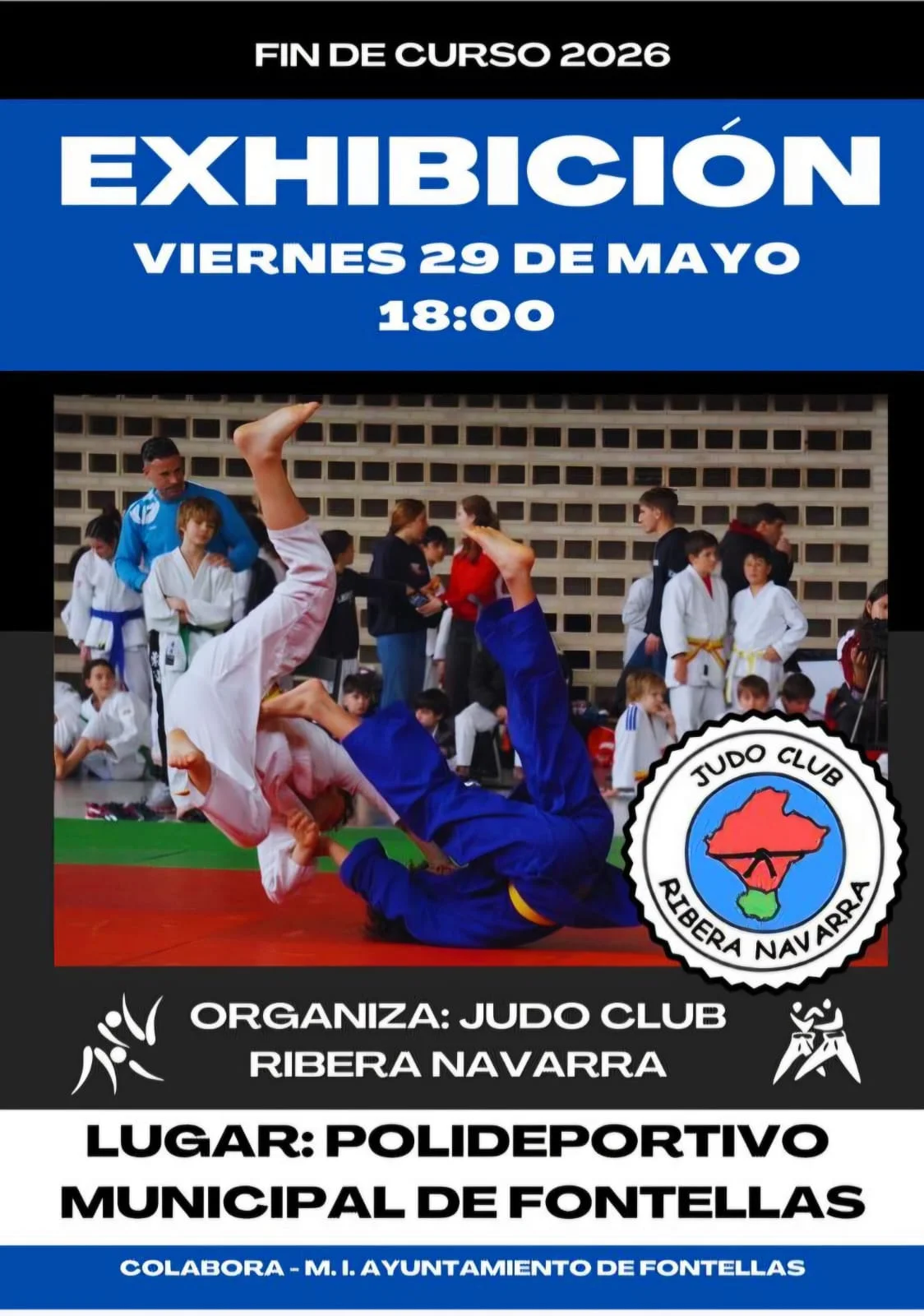 Exhibición Judo